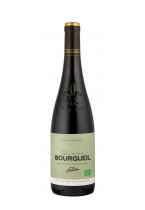 Bourgueuil Vin Tranquille Cabernet Franc   Les Damelières BIO 2021