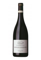 Saumur Champigny Vin Tranquille Cabernet Franc Les Gravières du Roy Les Gravières du Roy  2021
