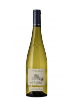SAUMUR Vin tranquille Chenin blanc Château de Monguéret Château de Monguéret  2019